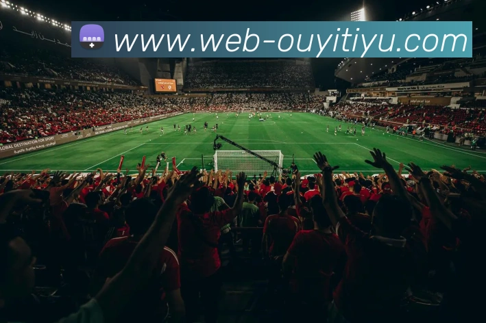 多媒体互动体验