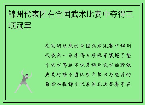 锦州代表团在全国武术比赛中夺得三项冠军