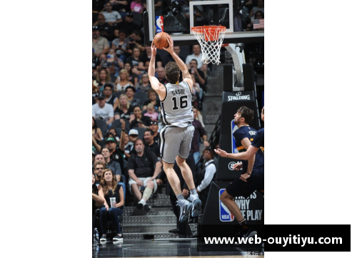 欧亿体育官网阿根廷NBA球员：探索其在全球篮球舞台上的影响 - 副本
