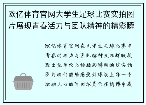 欧亿体育官网大学生足球比赛实拍图片展现青春活力与团队精神的精彩瞬间